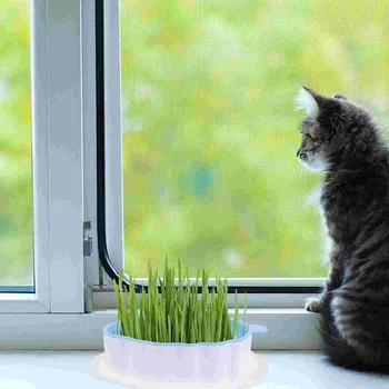 חתול דשא שתילת תיבת מחמד חתולים מעשי עציץ פלסטיק ביתיים חשיש